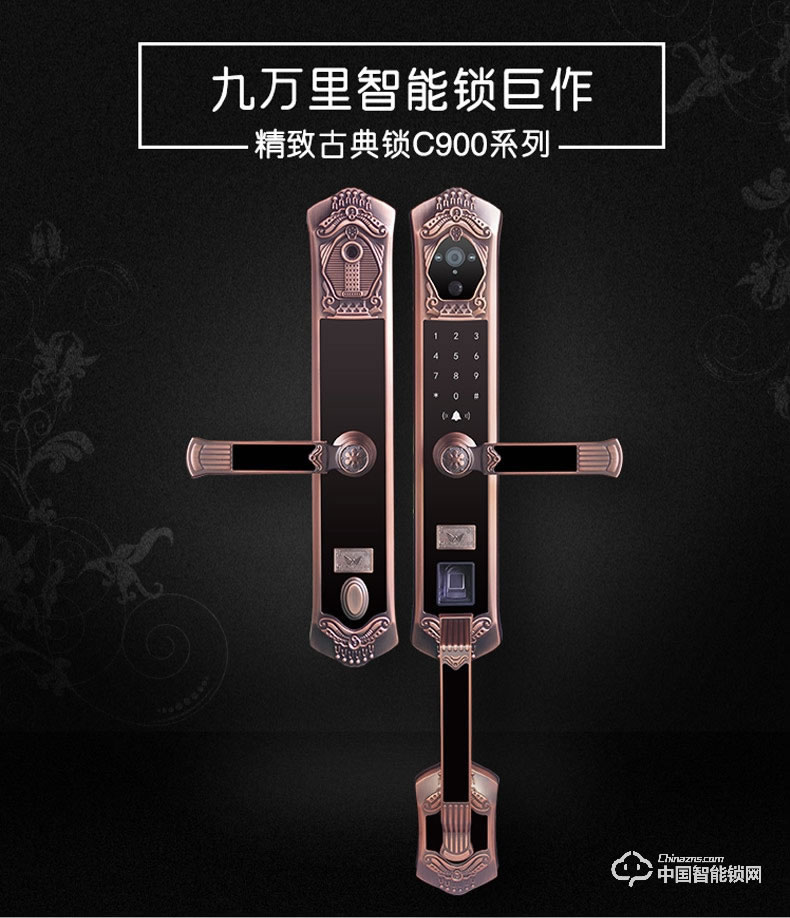九万里智能锁C900 欧式古典别墅大门锁指纹密码锁