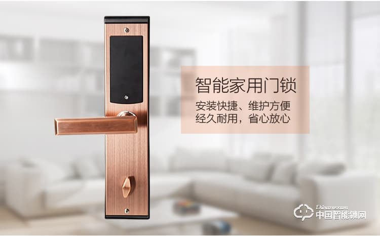 阿波罗智能锁 家用智能指纹锁 防盗门智能密码锁