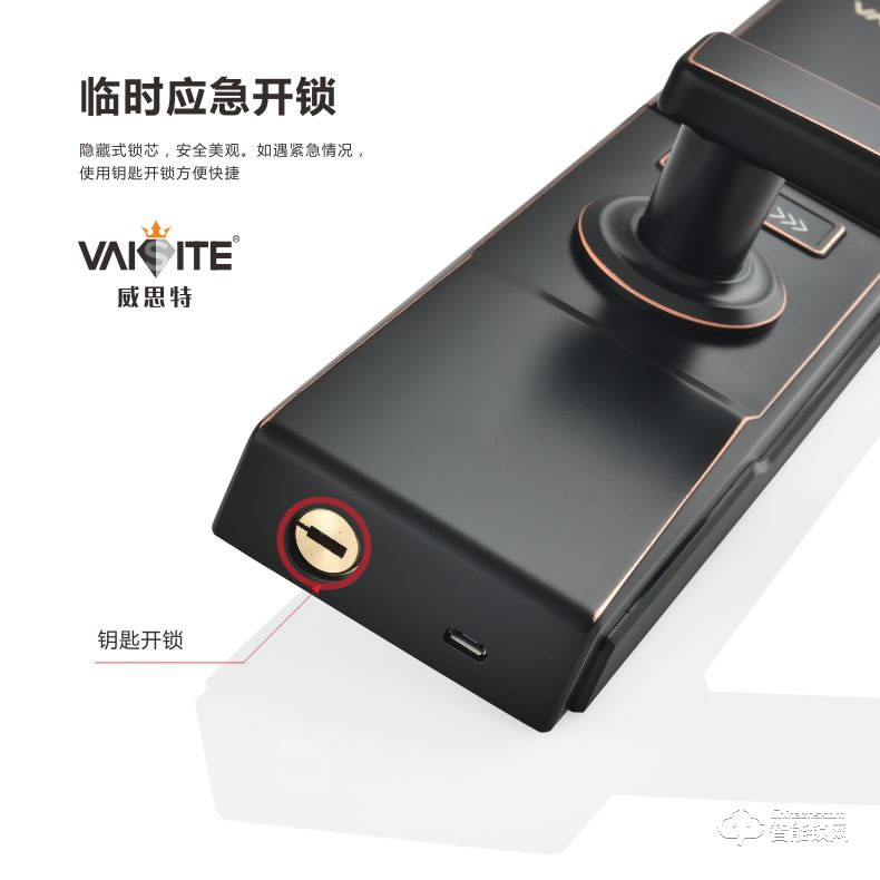 威思特智能锁 P11滑盖指纹密码锁