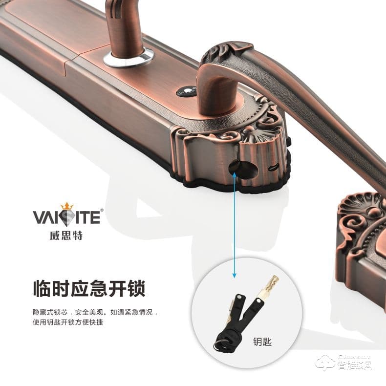 威思特智能锁 P10豪华别墅大拉手智能指纹锁