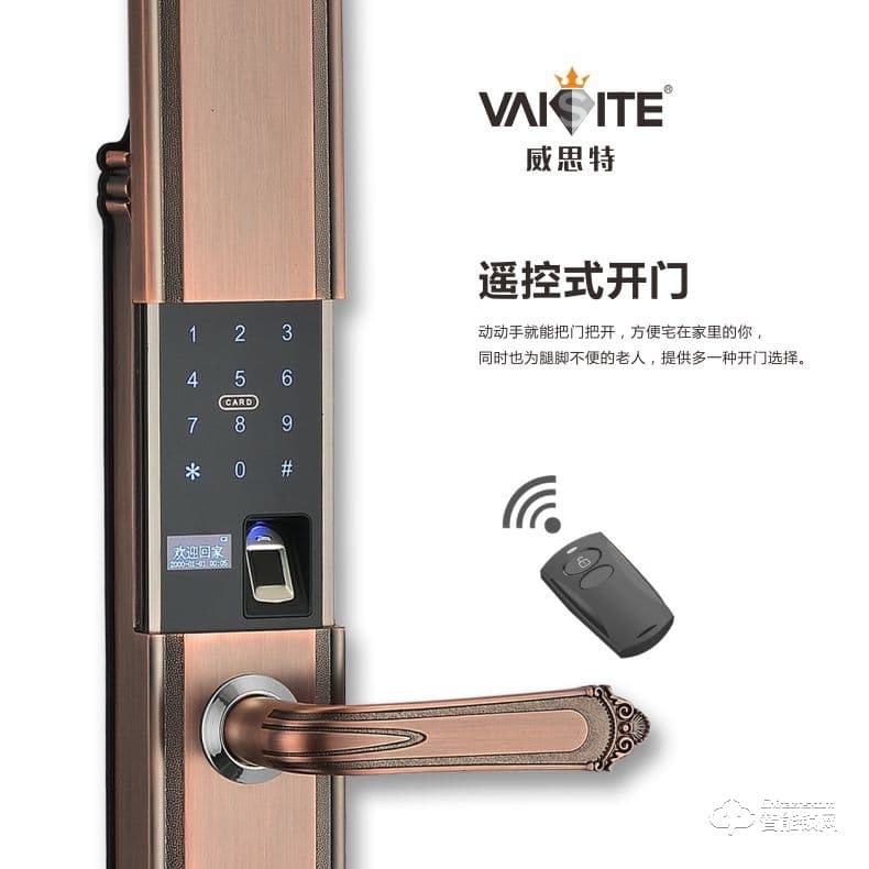 威思特智能锁 P10豪华别墅大拉手智能指纹锁