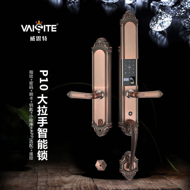 威思特智能锁 P10豪华别墅大拉手智能指纹锁